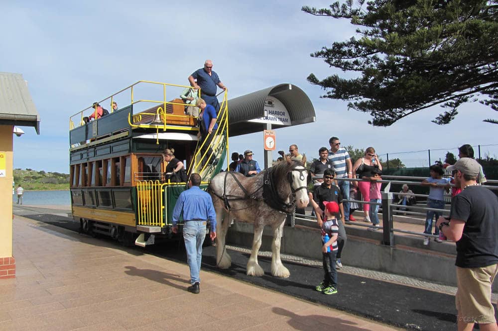 Victor Harbor - Horse Drawn Carts